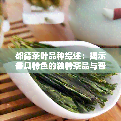 都德茶叶品种综述：揭示各具特色的独特茶品与普洱茶生熟对比解析