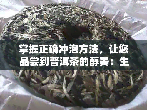 掌握正确冲泡方法，让您品尝到普洱茶的醇美：生茶、熟茶与新茶的泡法