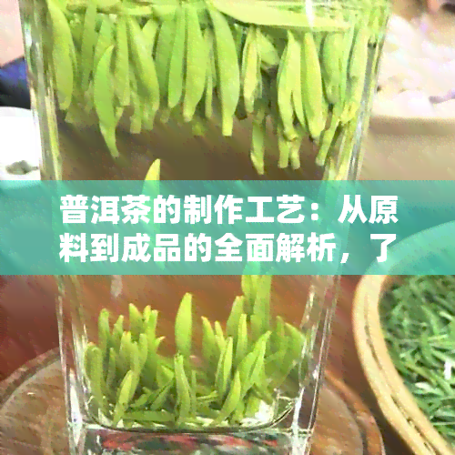 普洱茶的制作工艺：从原料到成品的全面解析，了解普洱茶的神奇世界