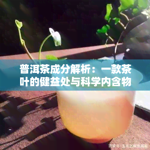 普洱茶成分解析：一款茶叶的健益处与科学内含物质