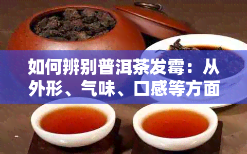 如何辨别普洱茶发霉：从外形、气味、口感等方面判断，避免饮用发霉普洱茶。