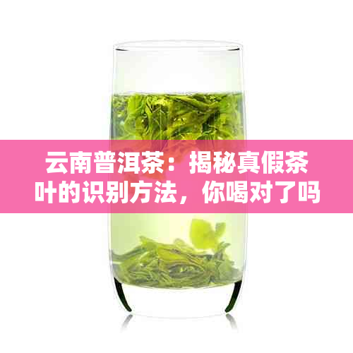 云南普洱茶：揭秘真假茶叶的识别方法，你喝对了吗？