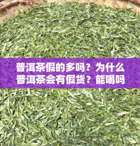 普洱茶假的多吗？为什么普洱茶会有假货？能喝吗？什么样的普洱茶是假的？