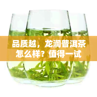 品质越，龙润普洱茶怎么样？值得一试的口感体验解析