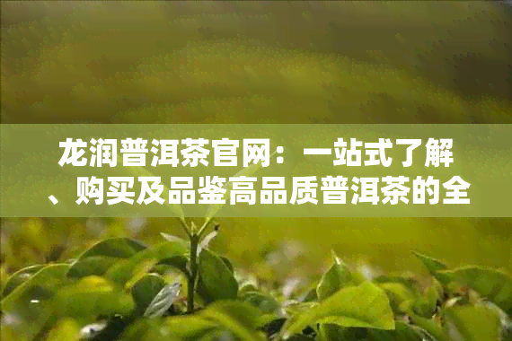 龙润普洱茶官网：一站式了解、购买及品鉴高品质普洱茶的全方位指南