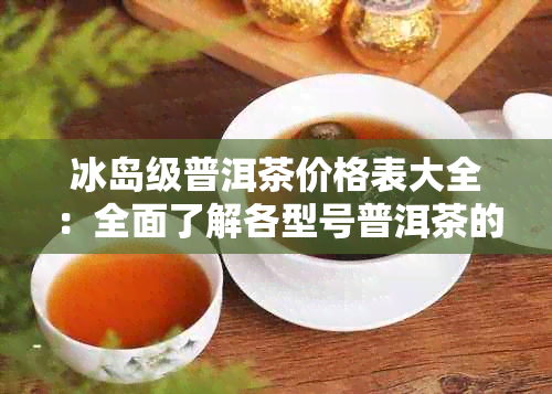 冰岛级普洱茶价格表大全：全面了解各型号普洱茶的价格及特点