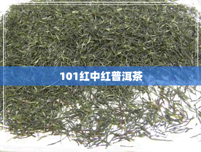 101红中红普洱茶