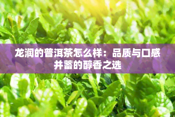 龙润的普洱茶怎么样：品质与口感并蓄的醇香之选