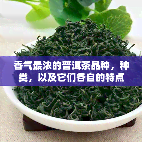 香气最浓的普洱茶品种，种类，以及它们各自的特点是什么？