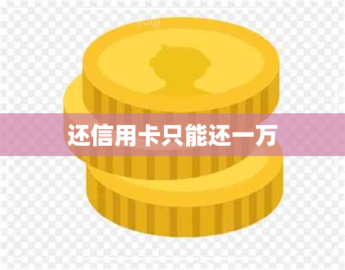 还信用卡只能还一万