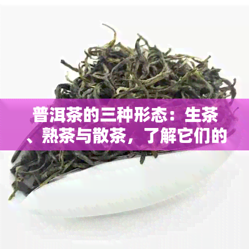 普洱茶的三种形态：生茶、熟茶与散茶，了解它们的特点和区别