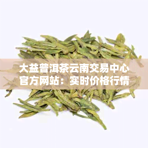 大益普洱茶云南交易中心官方网站：实时价格行情与优质茶叶资源