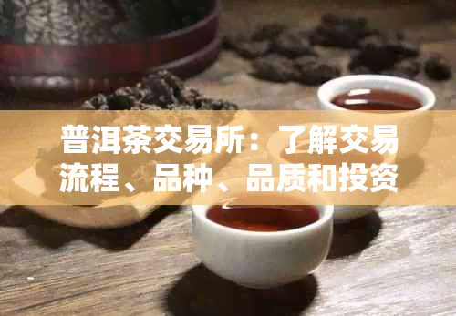 普洱茶交易所：了解交易流程、品种、品质和投资策略的全方位指南