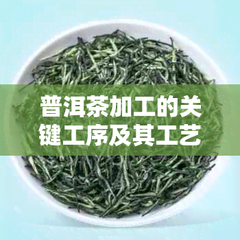 普洱茶加工的关键工序及其工艺流程