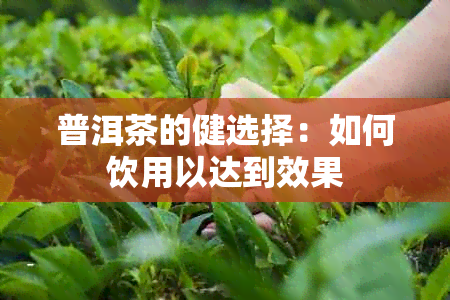 普洱茶的健选择：如何饮用以达到效果