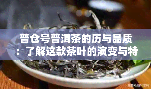 普仓号普洱茶的历与品质：了解这款茶叶的演变与特色