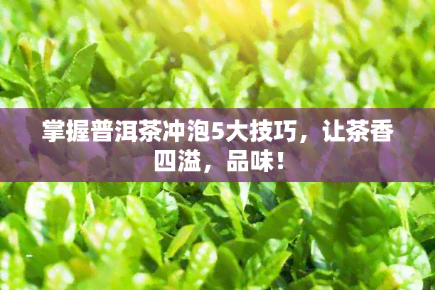 掌握普洱茶冲泡5大技巧，让茶香四溢，品味！