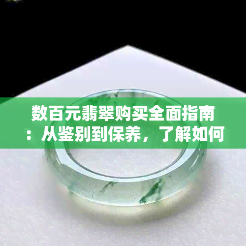 数百元翡翠购买全面指南：从鉴别到保养，了解如何选择和使用你的翡翠