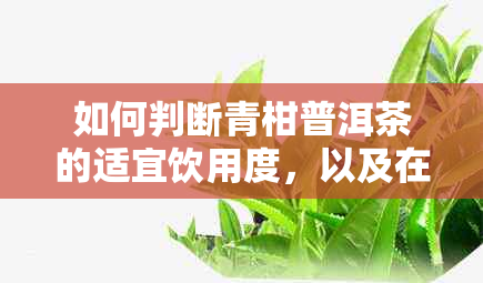 如何判断青柑普洱茶的适宜饮用度，以及在不同气下如何品饮？