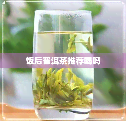 饭后普洱茶推荐喝吗