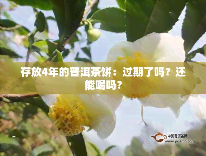 存放4年的普洱茶饼：过期了吗？还能喝吗？