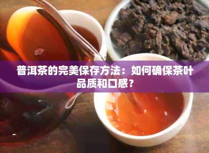 普洱茶的完美保存方法：如何确保茶叶品质和口感？