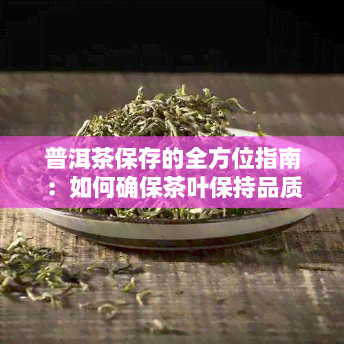 普洱茶保存的全方位指南：如何确保茶叶保持品质