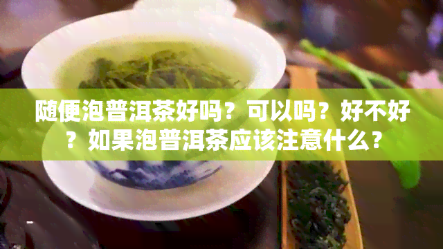 随便泡普洱茶好吗？可以吗？好不好？如果泡普洱茶应该注意什么？