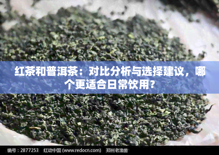 红茶和普洱茶：对比分析与选择建议，哪个更适合日常饮用？