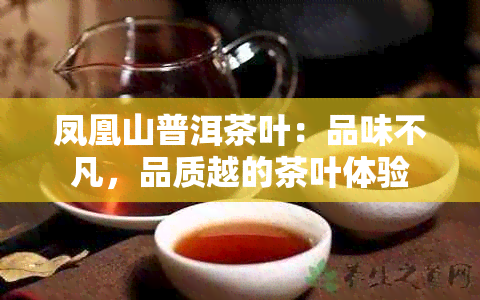 凤凰山普洱茶叶：品味不凡，品质越的茶叶体验