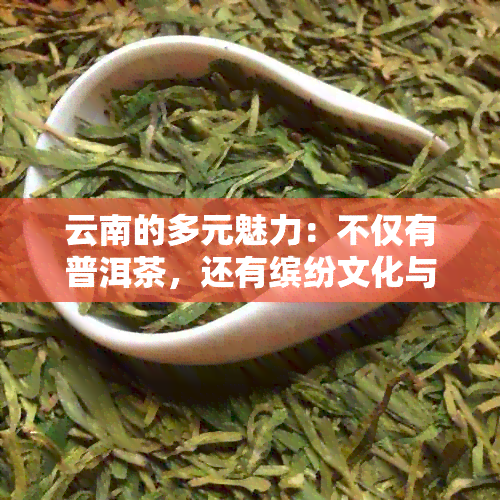 云南的多元魅力：不仅有普洱茶，还有缤纷文化与美食