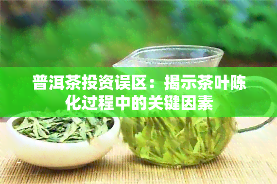 普洱茶投资误区：揭示茶叶陈化过程中的关键因素