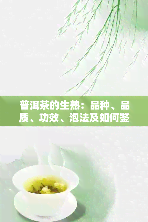 普洱茶的生熟：品种、品质、功效、泡法及如何鉴别，一篇全面解答