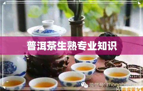 普洱茶生熟专业知识