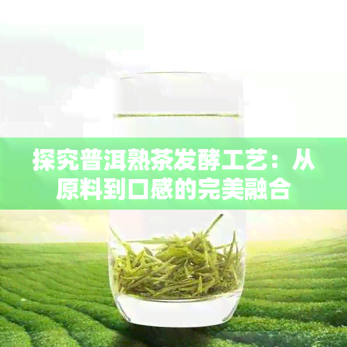 探究普洱熟茶发酵工艺：从原料到口感的完美融合