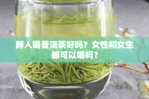 胖人喝普洱茶好吗？女性和女生都可以喝吗？