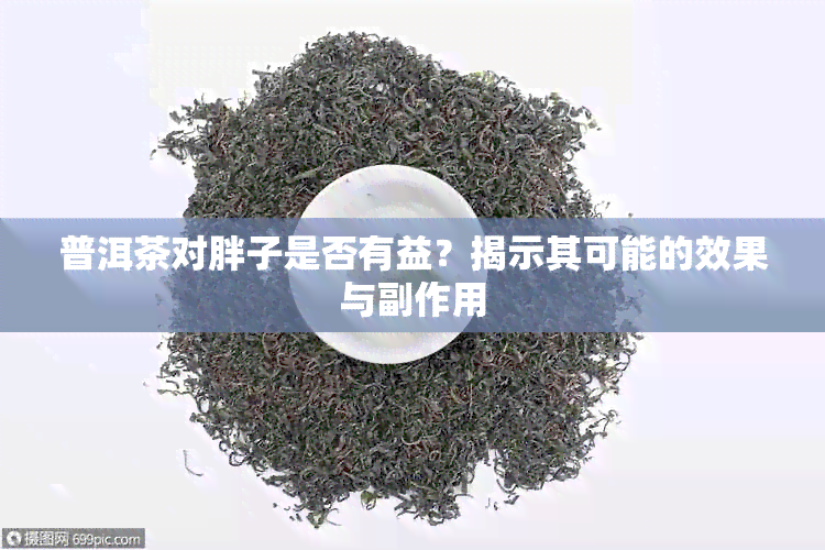 普洱茶对胖子是否有益？揭示其可能的效果与副作用