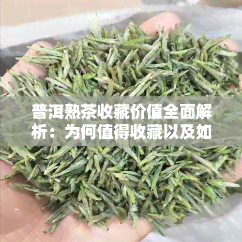 普洱熟茶收藏价值全面解析：为何值得收藏以及如何进行有效投资？