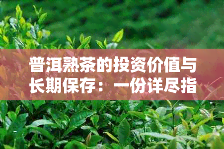 普洱熟茶的投资价值与长期保存：一份详尽指南