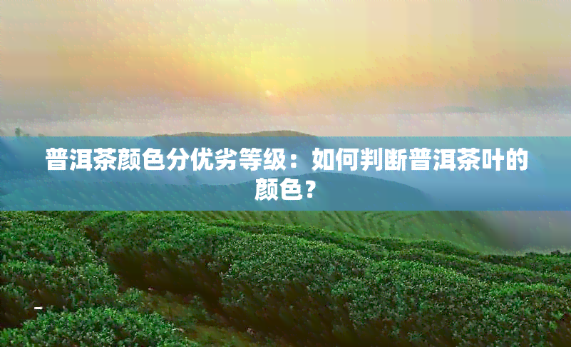 普洱茶颜色分优劣等级：如何判断普洱茶叶的颜色？