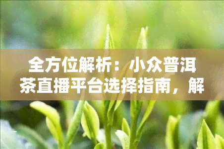 全方位解析：小众普洱茶直播平台选择指南，解决用户搜索的各类疑问和需求