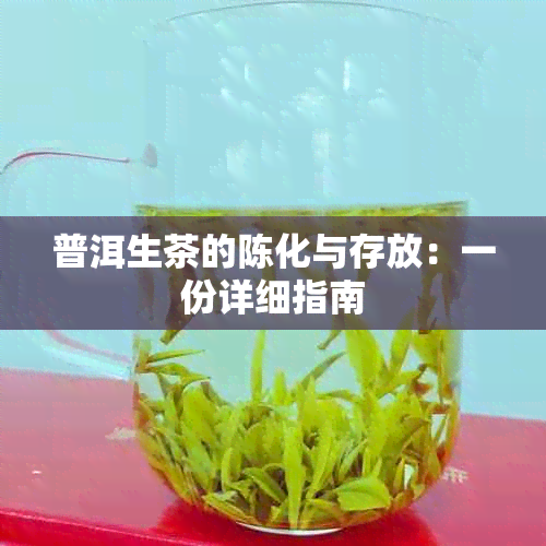 普洱生茶的陈化与存放：一份详细指南