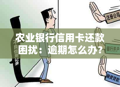 农业银行信用卡还款困扰：逾期怎么办？还不出该如何应对？