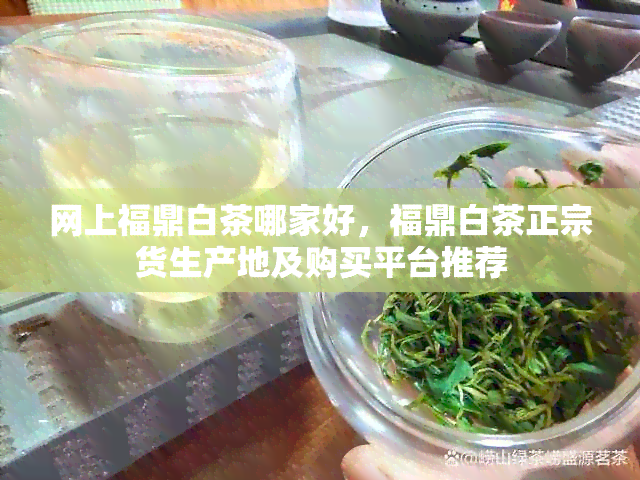 网上福鼎白茶哪家好，福鼎白茶正宗货生产地及购买平台推荐