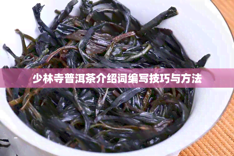 少林寺普洱茶介绍词编写技巧与方法