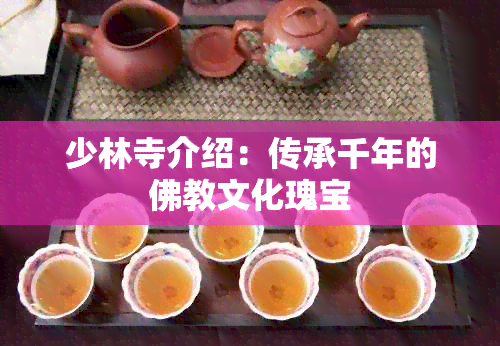 少林寺介绍：传承千年的佛教文化瑰宝