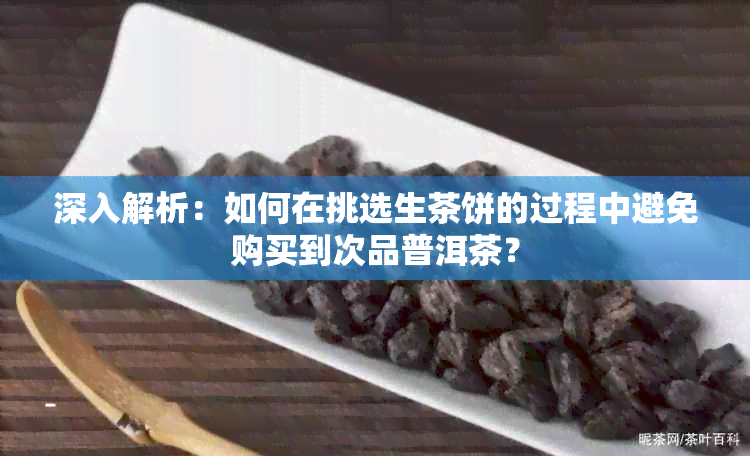 深入解析：如何在挑选生茶饼的过程中避免购买到次品普洱茶？