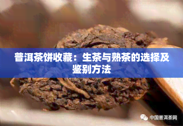 普洱茶饼收藏：生茶与熟茶的选择及鉴别方法