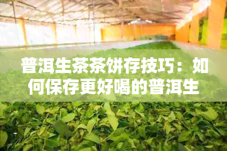 普洱生茶茶饼存技巧：如何保存更好喝的普洱生茶？