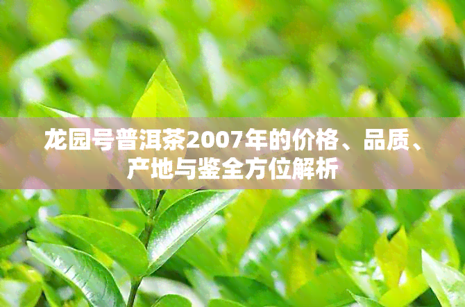 龙园号普洱茶2007年的价格、品质、产地与鉴全方位解析